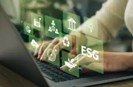 The Rise of Sustainable Digital Systems
